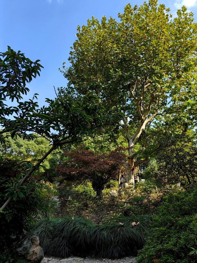 長風公園秋景。