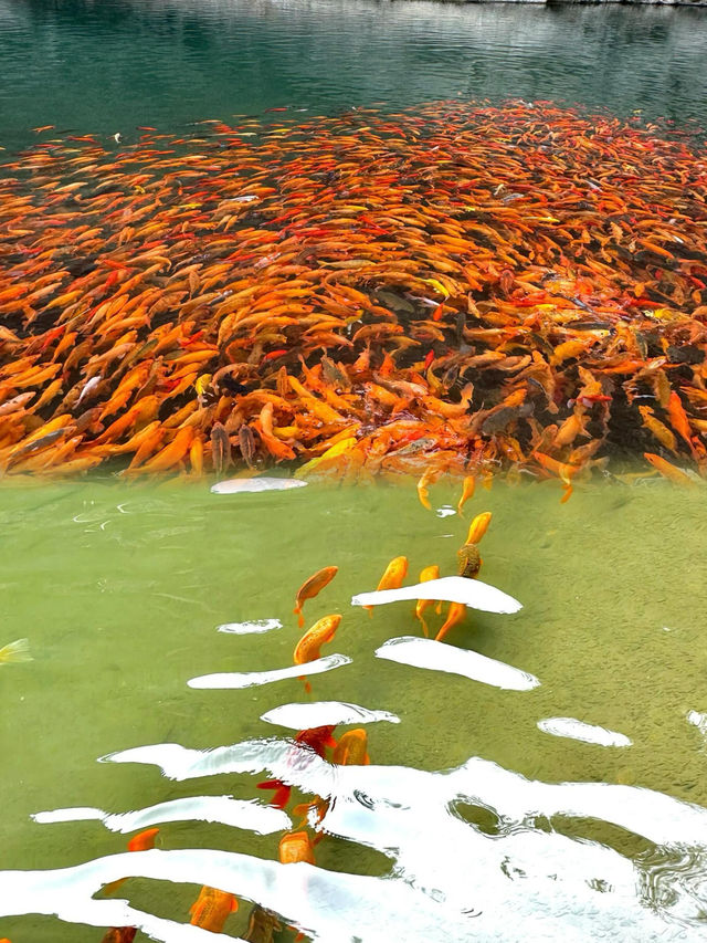 南溪江旅遊攻略