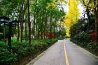 南郊公園｜一處隱藏在都市中的古色古香
