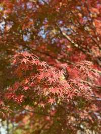 半馬蘇河2號公園