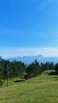 據說這裡的高山草甸獨屬海南·同款阿勒泰天花板