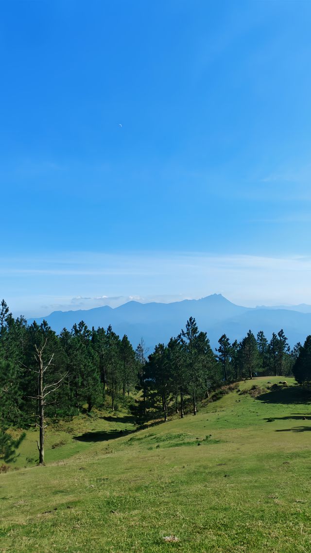 據說這裡的高山草甸獨屬海南·同款阿勒泰天花板
