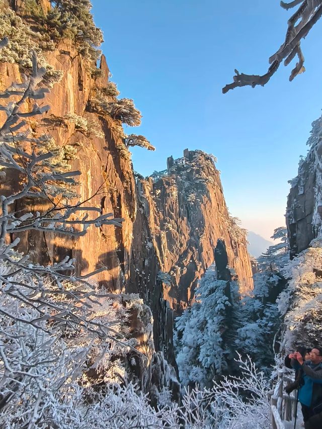 今年的黃山景色優美。