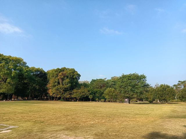 紅軍烈士紀念塔