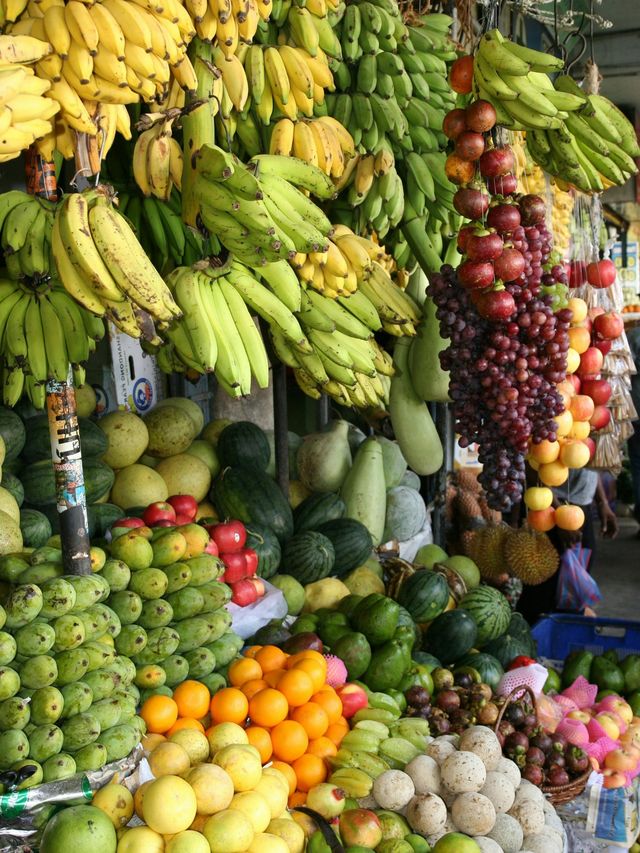 不要錯過菲律賓的「果籃子」達沃