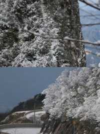 探秘達州八台山，美景就在眼前！