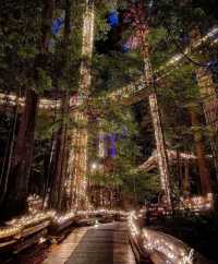 Explore the Iconic Capilano Suspension Bridge Park in Vancouver