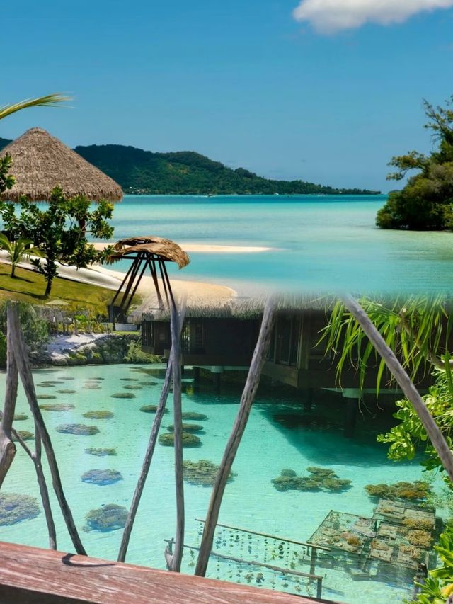 大溪地洲際酒店——我的奢華海島之旅