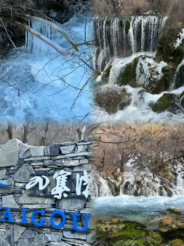 九寨沟3日2泊旅行ガイド：絶景と高原グルメの旅