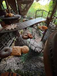 為了這家鳥巢餐廳專門飛了一趟Tulum…