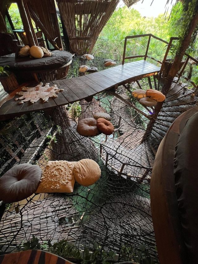 為了這家鳥巢餐廳專門飛了一趟Tulum…
