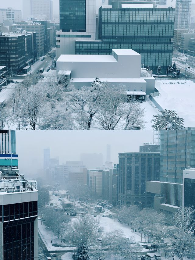 探秘日本北海道札幌，冬日雪景美如畫！