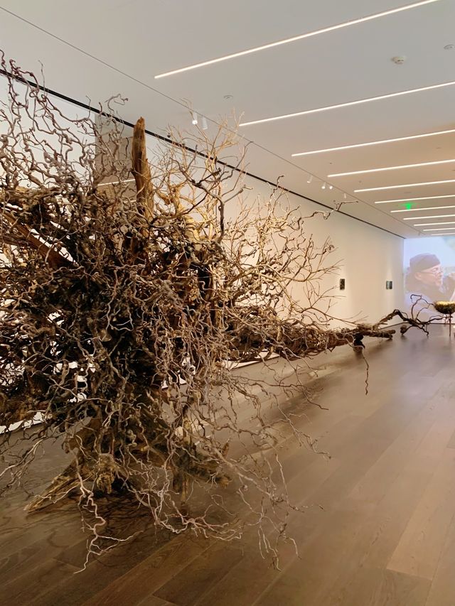 上生新所絕美新展，緩慢的歸鄉