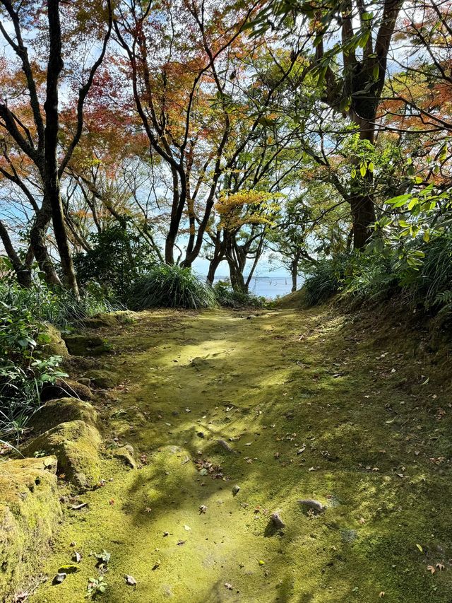 寒假要去日本5日深度遊攻略
