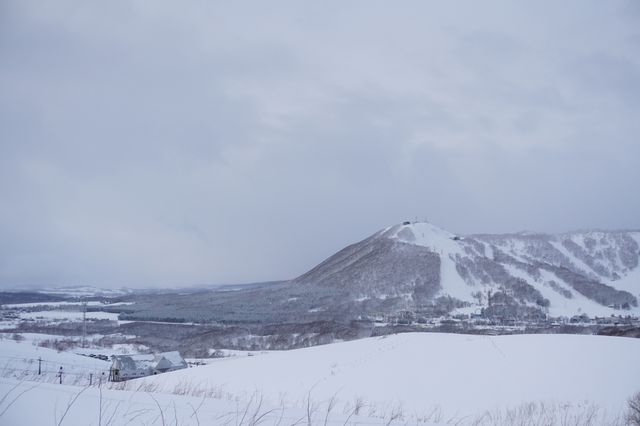 北海道小眾玩法！不滑雪也能馳騁大山