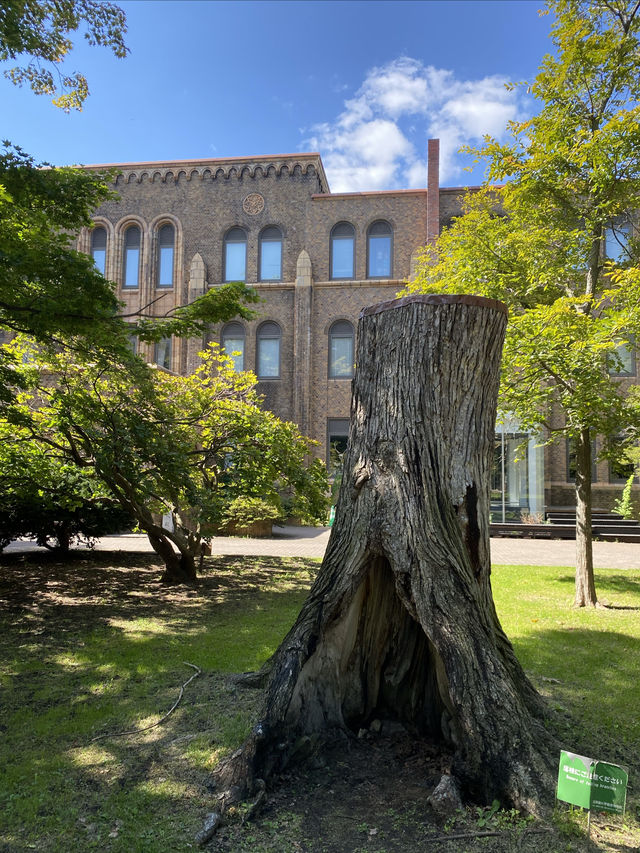 北海道大學 綜合博物館