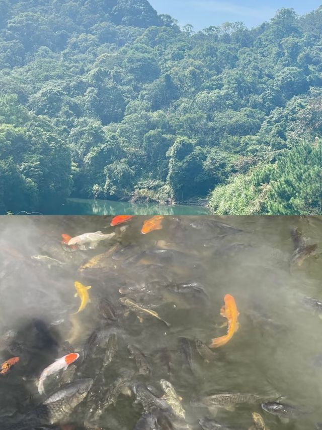 【東莞觀音山，祈福聖地之旅】