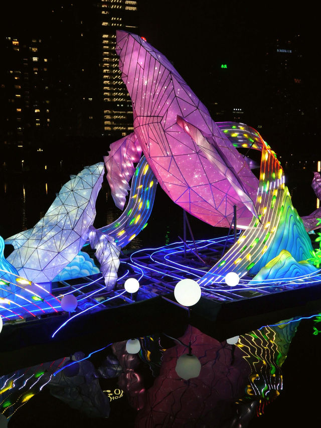 ——深圳市香蜜公園：璀璨燈展之美