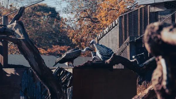 London Zoo is a great place to visit