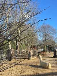 Visit London Zoo in Winter for a Unique Experience
