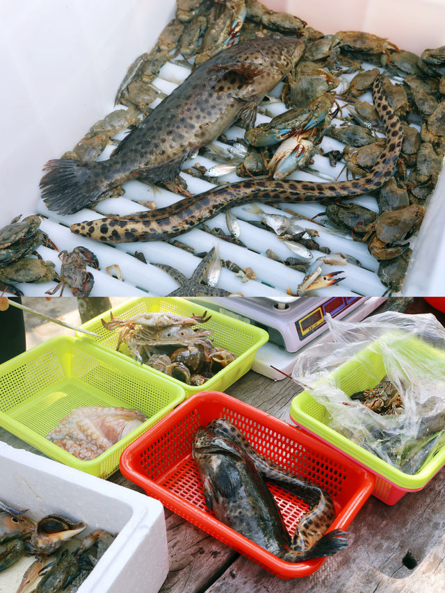 陵水出海｜海南一場特別的親子體驗