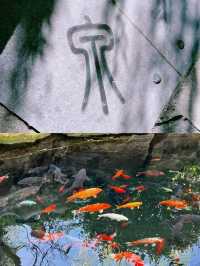 濟南可以接水的泉：白石泉｜和當地人打水去