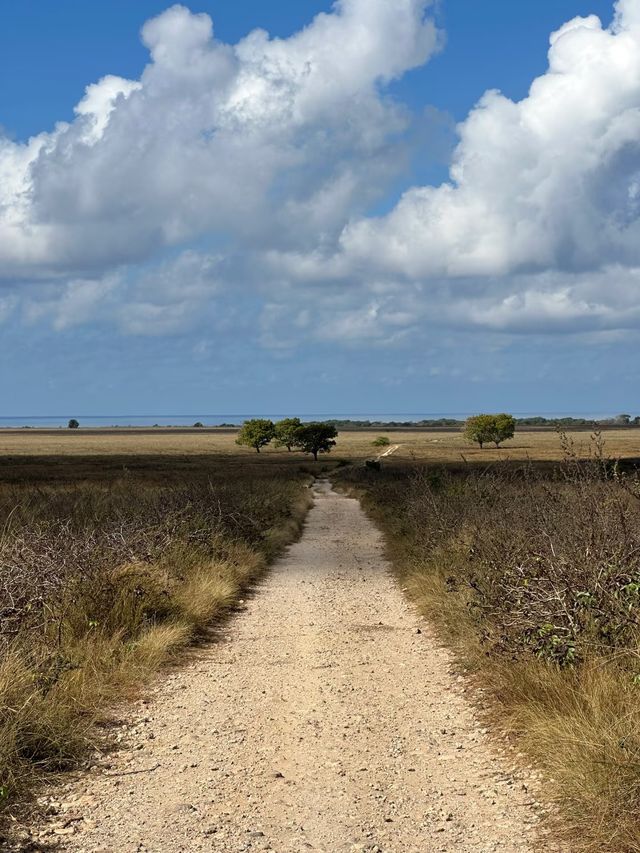 松巴島超全旅行攻略｜印尼最後的秘境，趁人少趕緊衝！