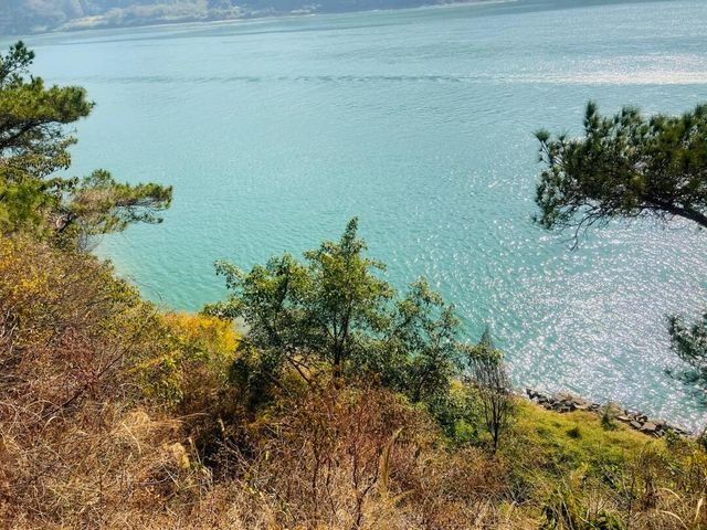 肇慶羚羊峽：穿越山水間的詩意之旅
