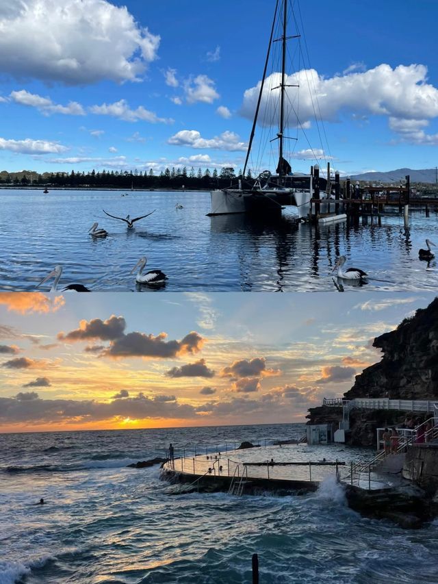 邂逅海豚的浪漫天堂