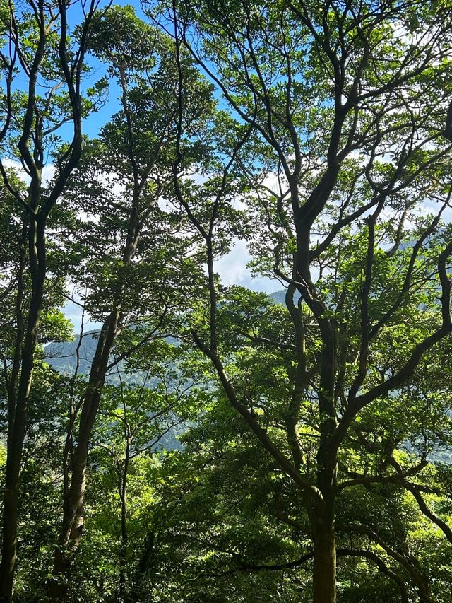 探秘東莞「小九寨」——銀瓶山，邂逅嶺南山水秘境！