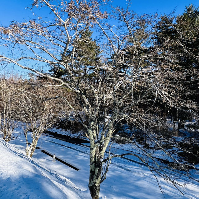 東京周邊@富士山一合目啦
