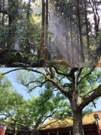 奔赴衡山，邂逅獨韻山水與誠摯祈願