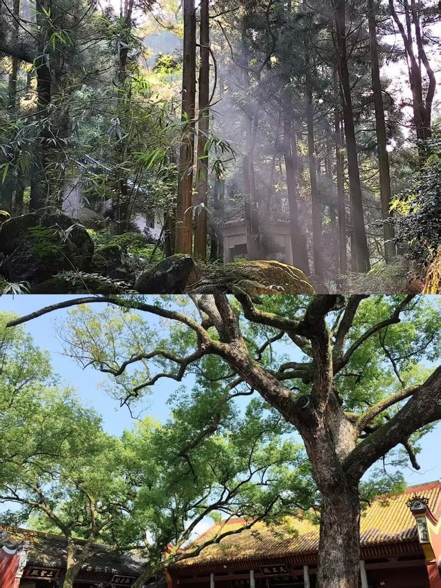 奔赴衡山，邂逅獨韻山水與誠摯祈願