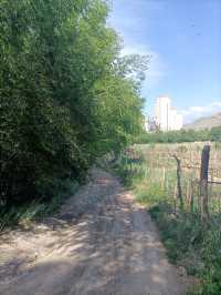 烏魯木齊縣2日暢遊 玩轉美景不留遺憾