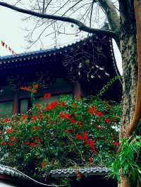 新年祈福讓人瞬間靜下心來的神仙地方