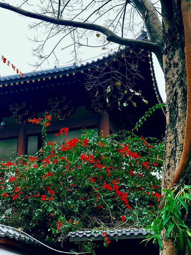 新年祈福讓人瞬間靜下心來的神仙地方