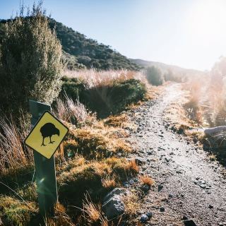 Charles Sturt National Park: Get Up Close and Personal with Nature 