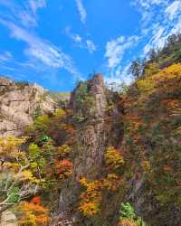 韓國原州市雪嶽山：秋季嘅天然畫卷 
