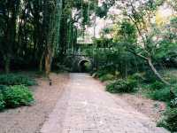 Exploring Wenzhou Secrets as Visa Free Transit Visitor: Now Even More Convinient