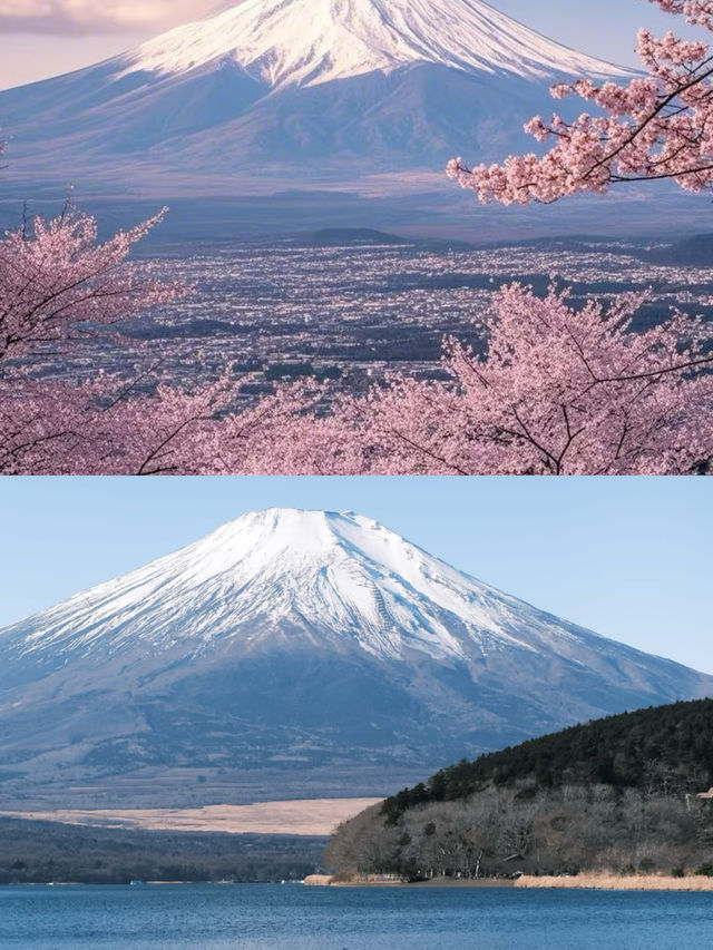 富士山真的會獎勵每一個早起的人！！