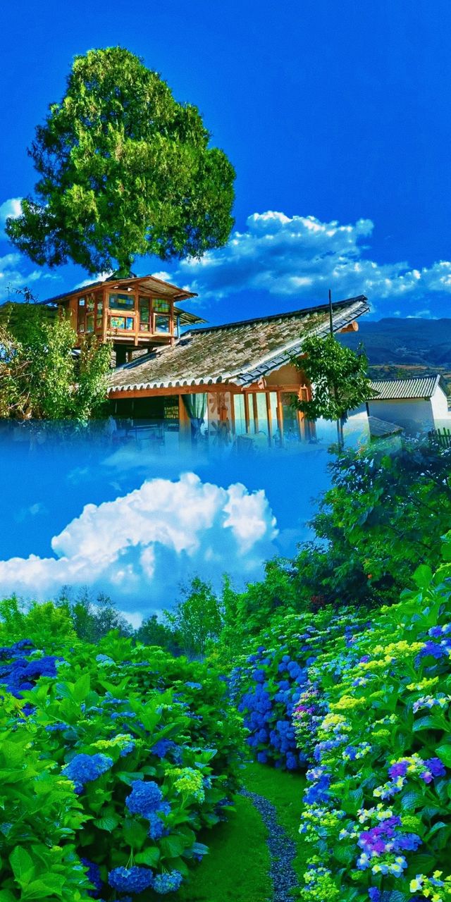 大理令人身心俱疲