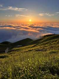 Experience the Stunning Sea of Clouds at Wugong Mountain on June 6