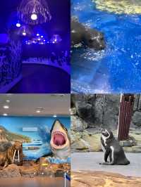 潛入韓國夢幻海底！一山韓華水族館超絕體驗