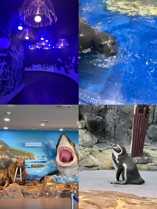 潛入韓國夢幻海底！一山韓華水族館超絕體驗