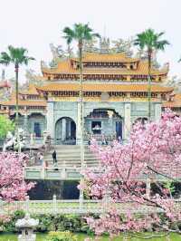 【新北林口竹林山觀音寺】寺廟遊也能超美的！
