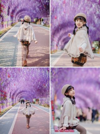 Shangchun Mountain near Nanjing/I took a photo of the sea of ​​wisteria flowers on the cliff of the mountain