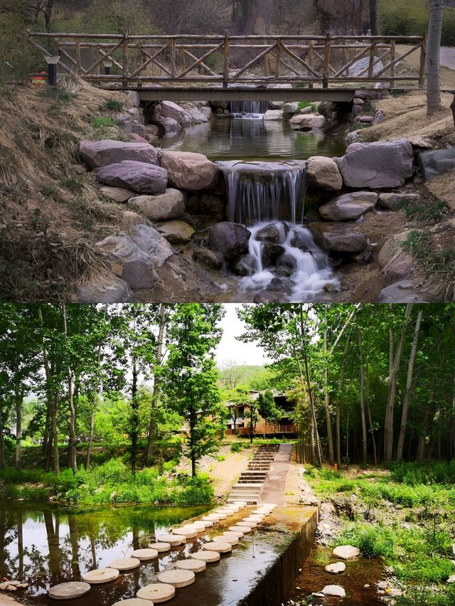 住進王屋山秘境，把生活過成詩🏞️