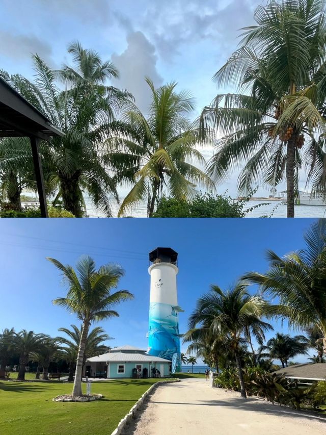 奔赴北緯19°，邂逅夢幻大開曼島