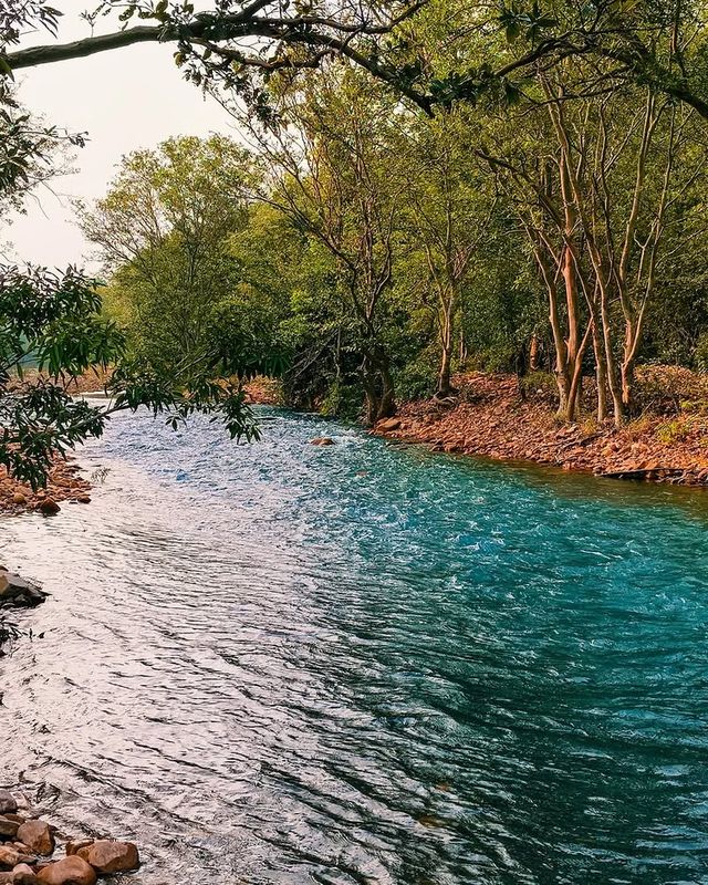 阿布加魯姆自然保護區（Abu Galum Nature Reserve）——紅海秘境探險之旅 