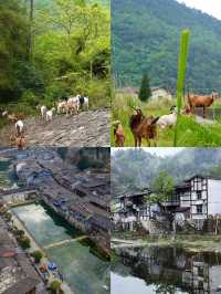 陝南秘境天花板｜青木川古鎮3日深度遊